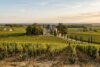 Bordeaux Wine Country Guide: Best Routes and Wineries - Post Thumbnail