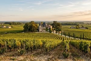 Bordeaux Wine Country Guide: Best Routes and Wineries
